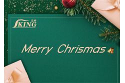 Wishing You a Merry Christmas and a Prosperous New Year