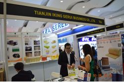 IKING GROUP in Manila City for PHILCONSTRUCT